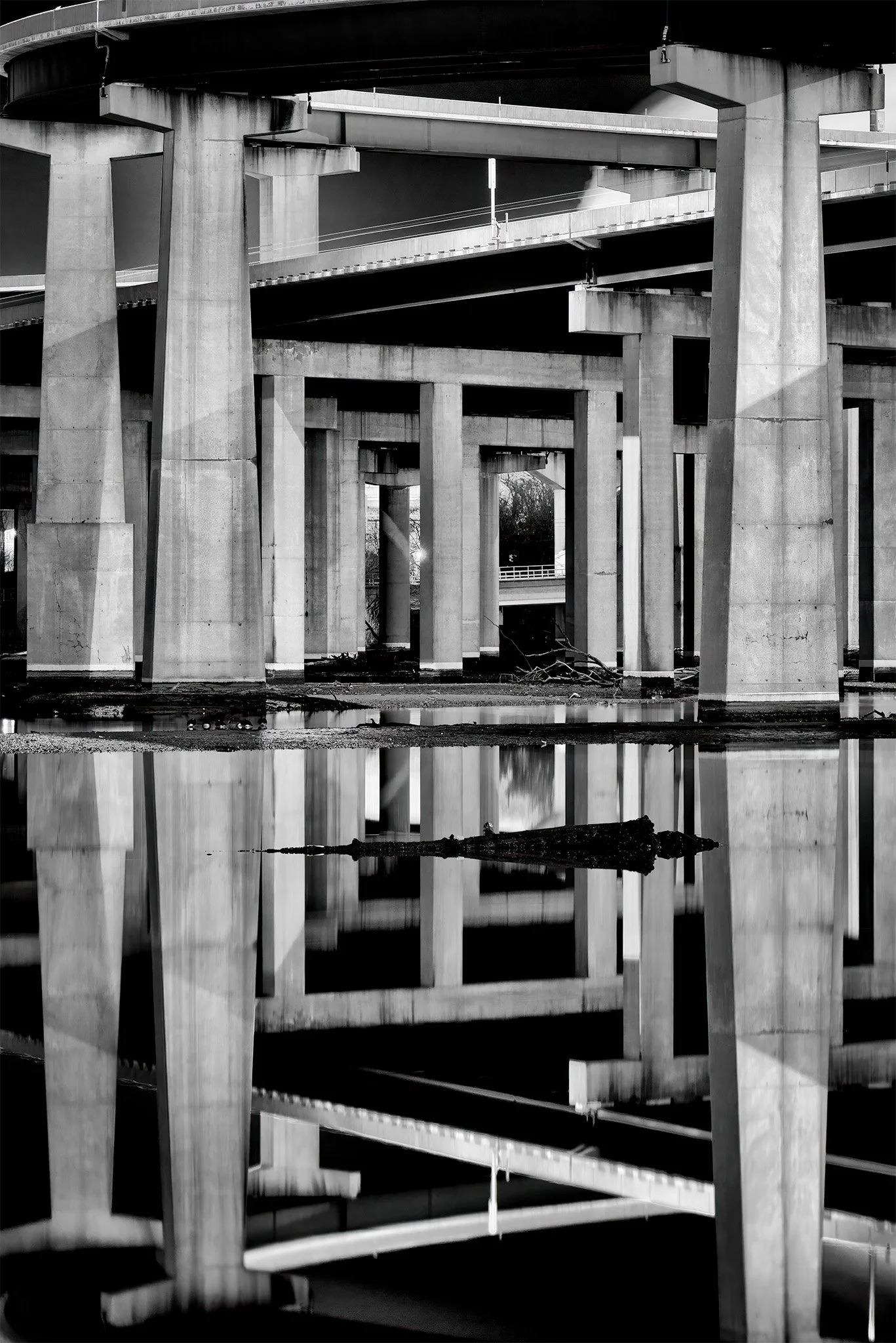 140222 Baltimore 06 as Smart Object-1 bw.jpg