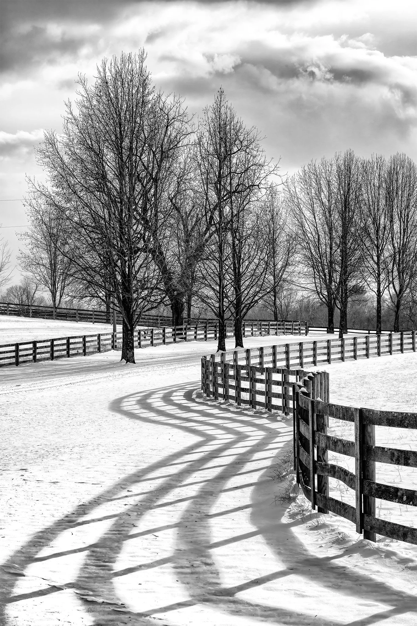 December Snow, 2026 Maryland Federation of Art Lowe House Exhibit.