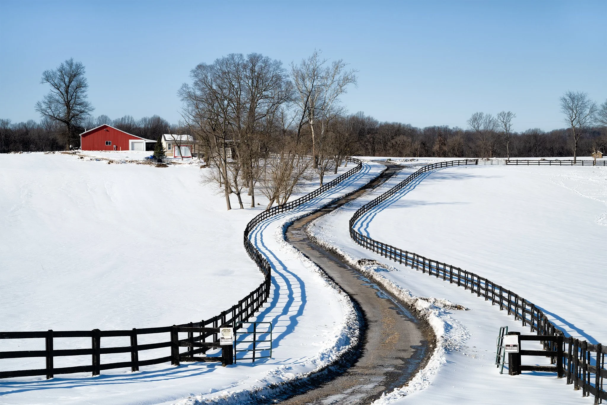 260202  MoCo Snow  39-1.jpg