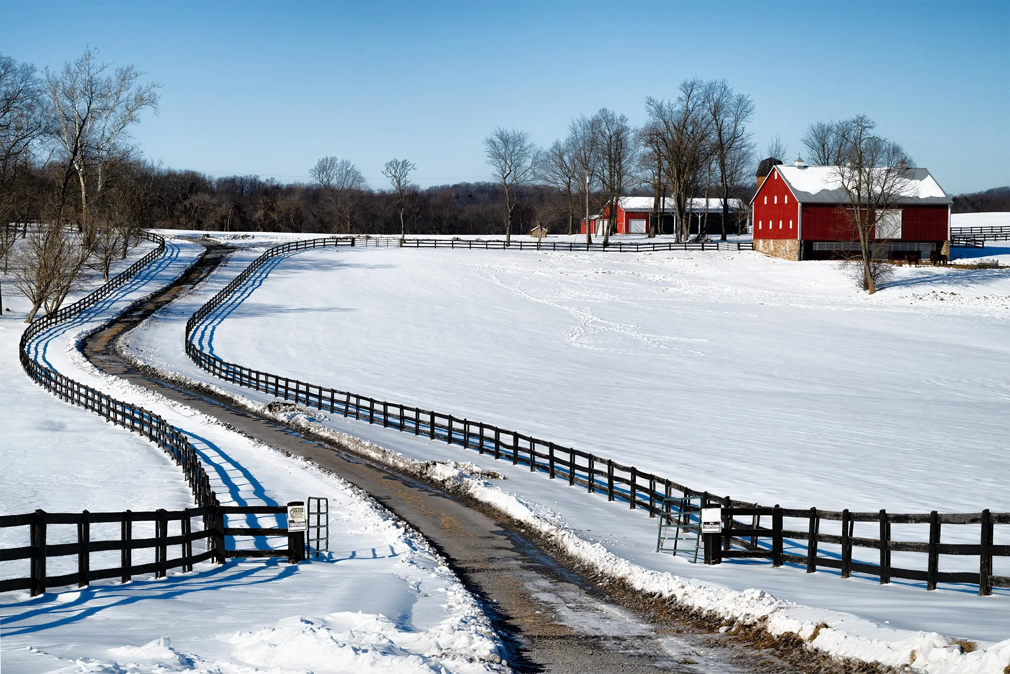 260202  MoCo Snow  28-1.jpg