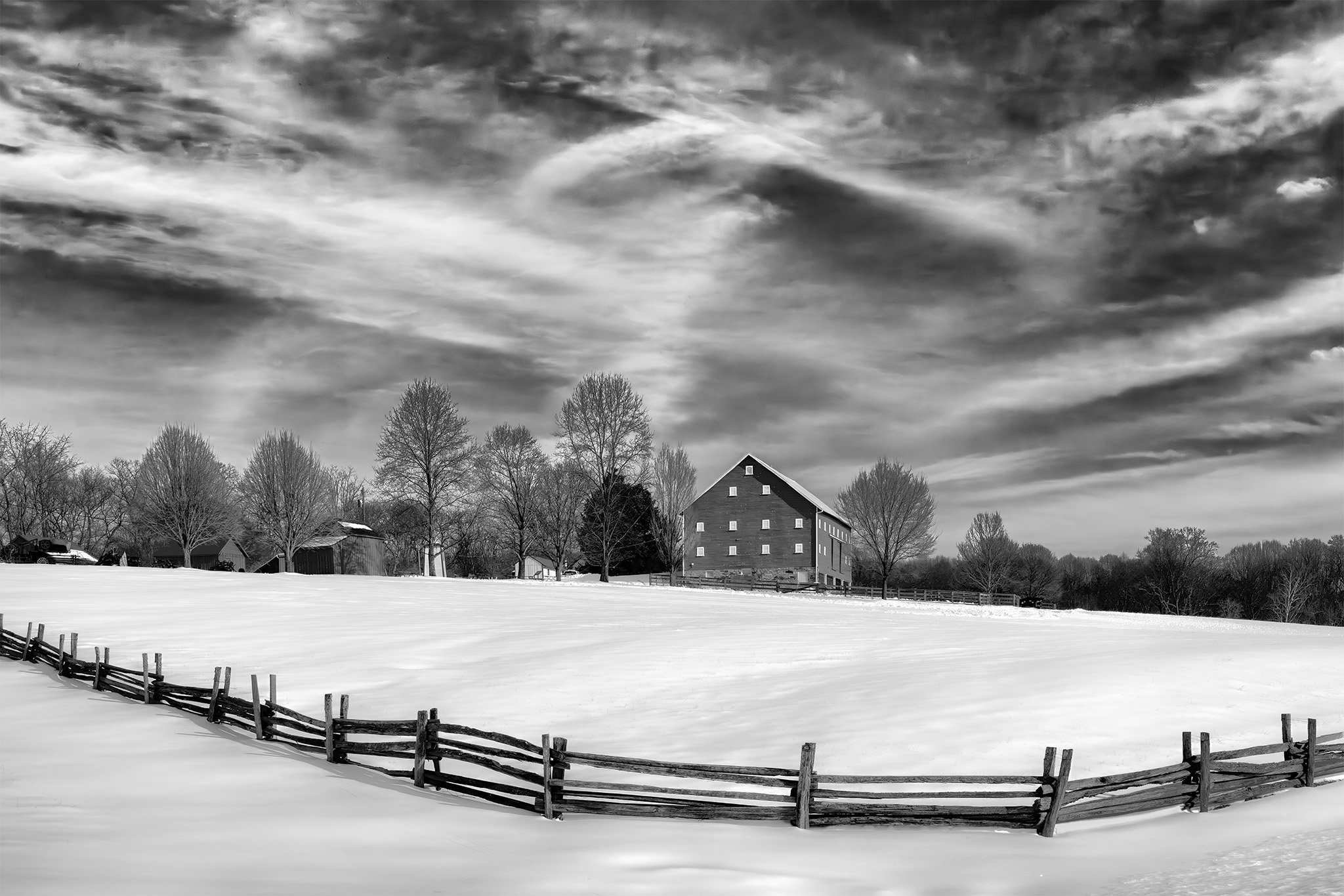 260204  MoCo Snow Snow  05-1 bw.jpg