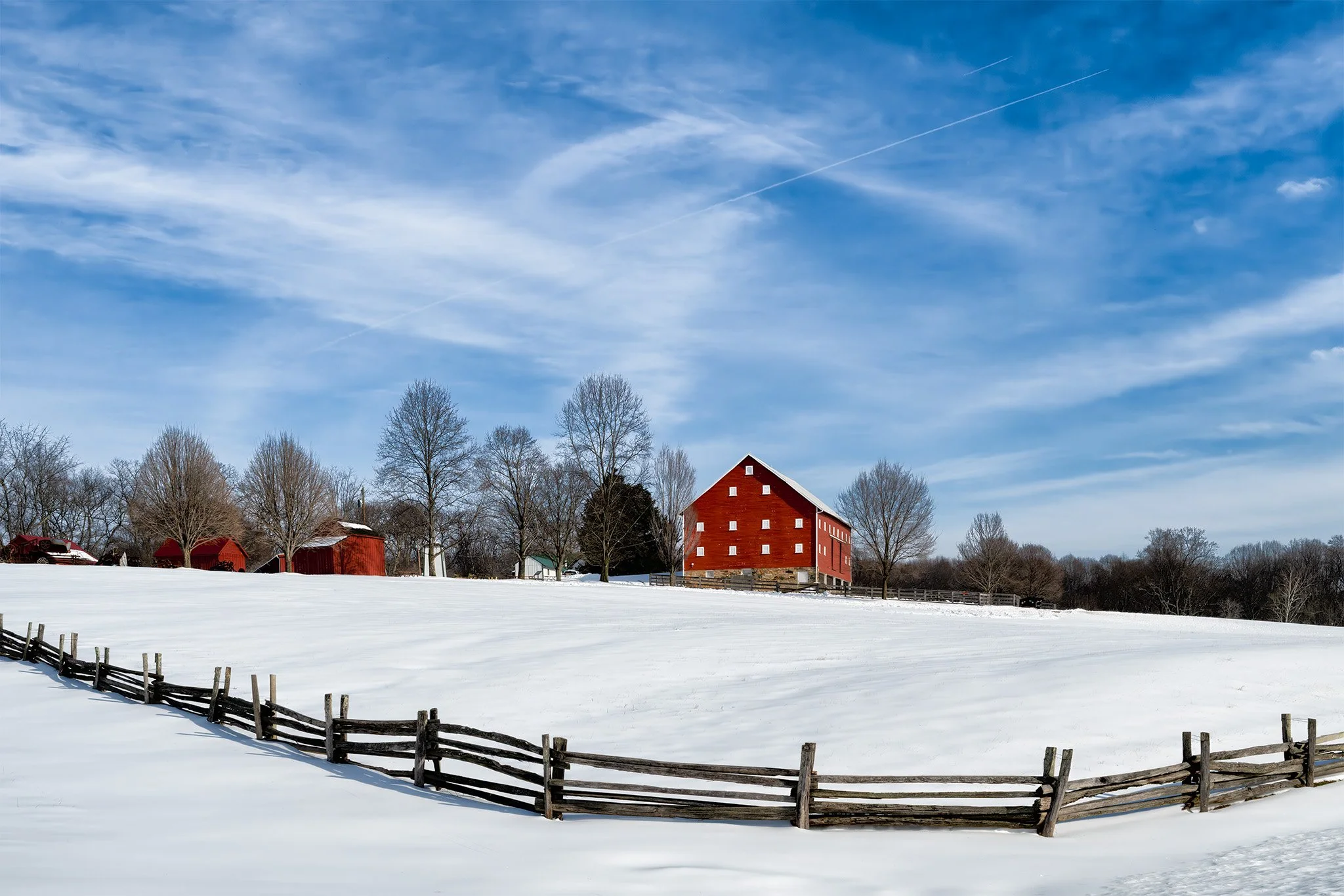 260204  MoCo Snow Snow  05-1.jpg