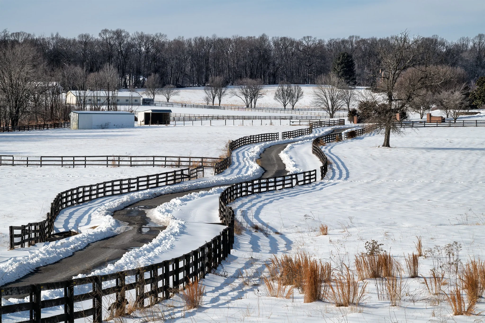 260204  MoCo Snow Snow  33-1.jpg