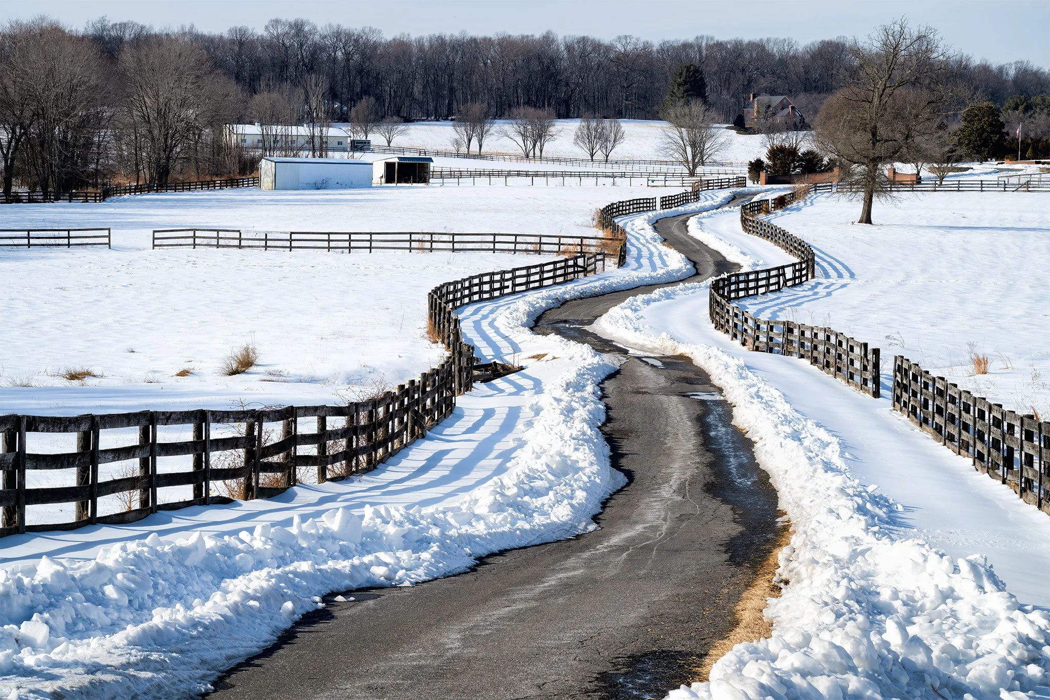260204  MoCo Snow Snow  21-1.jpg