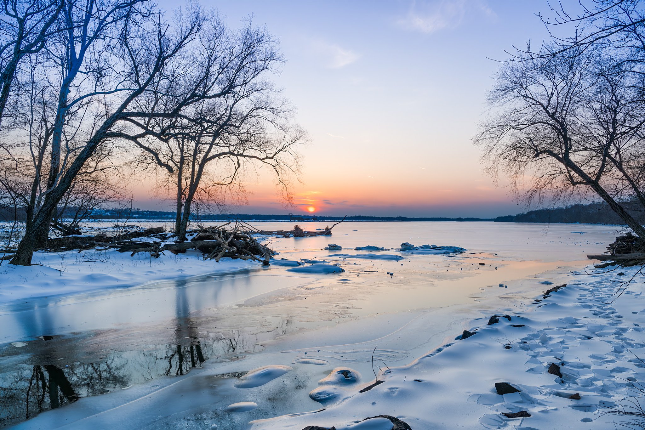 260203  Violettes Snow  12-1.jpg