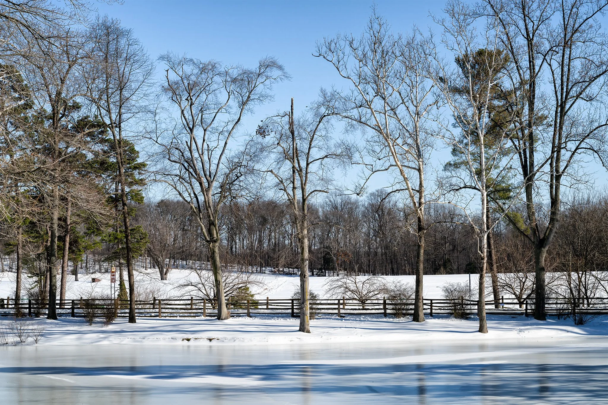 260202  MoCo Snow  41-1.jpg