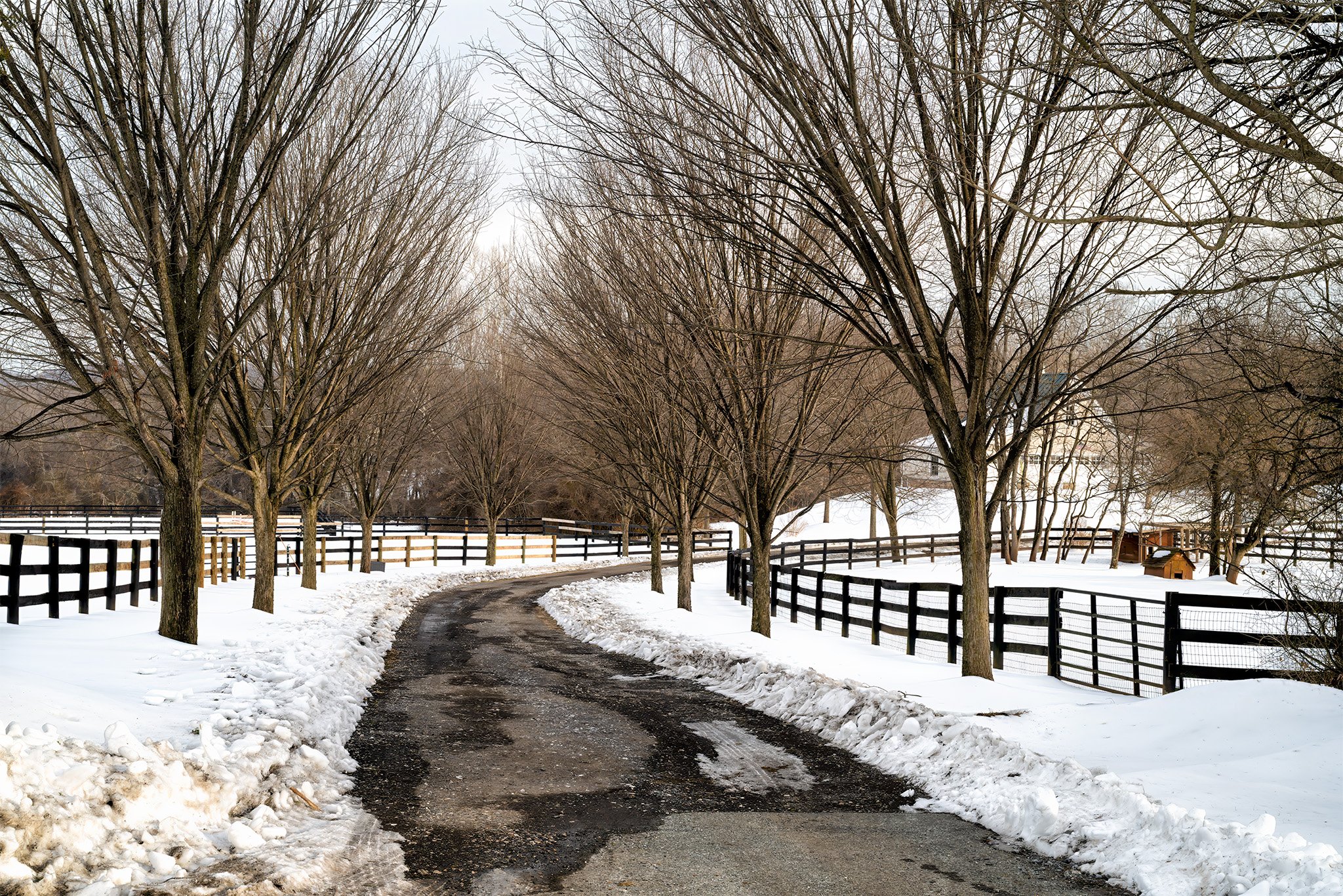 260204  MoCo Snow Snow  52-1.jpg