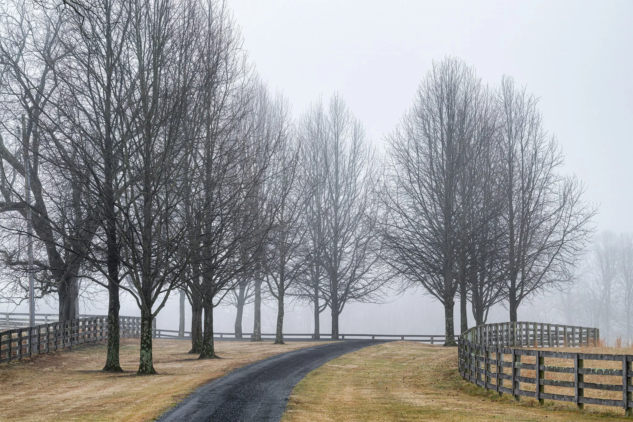 260307  MoCo Fog  19-1.jpg