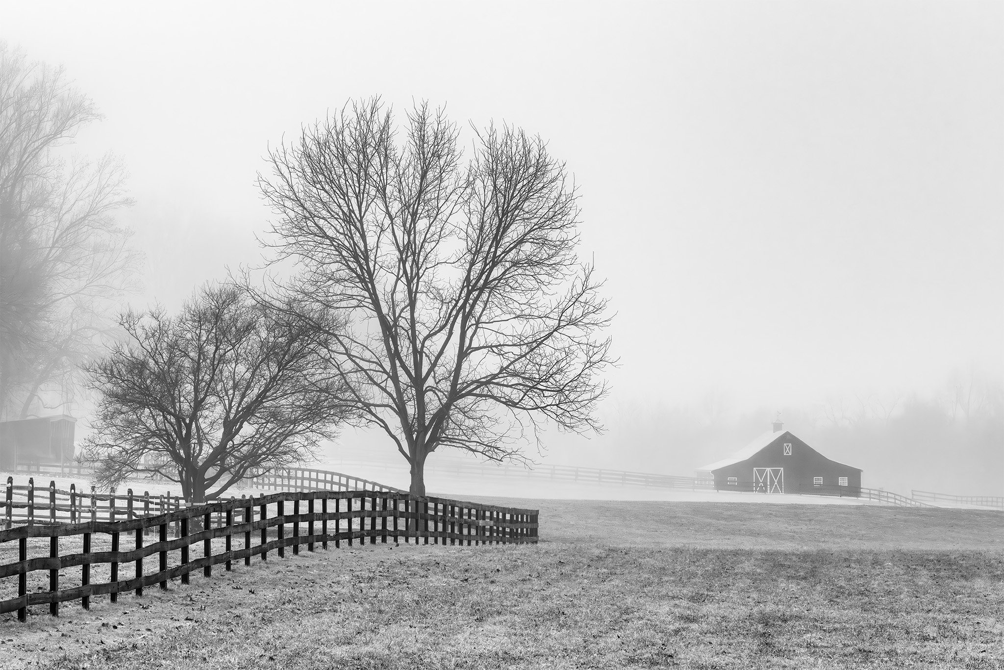 260307  MoCo Fog  52-1 bw.jpg
