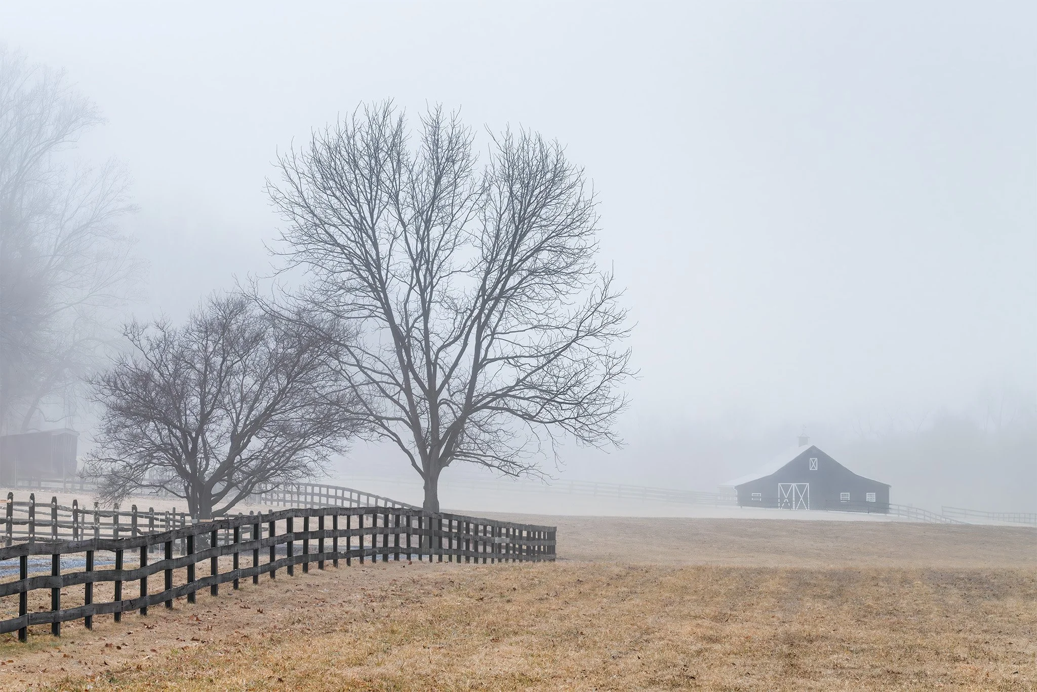 260307  MoCo Fog  52-1.jpg