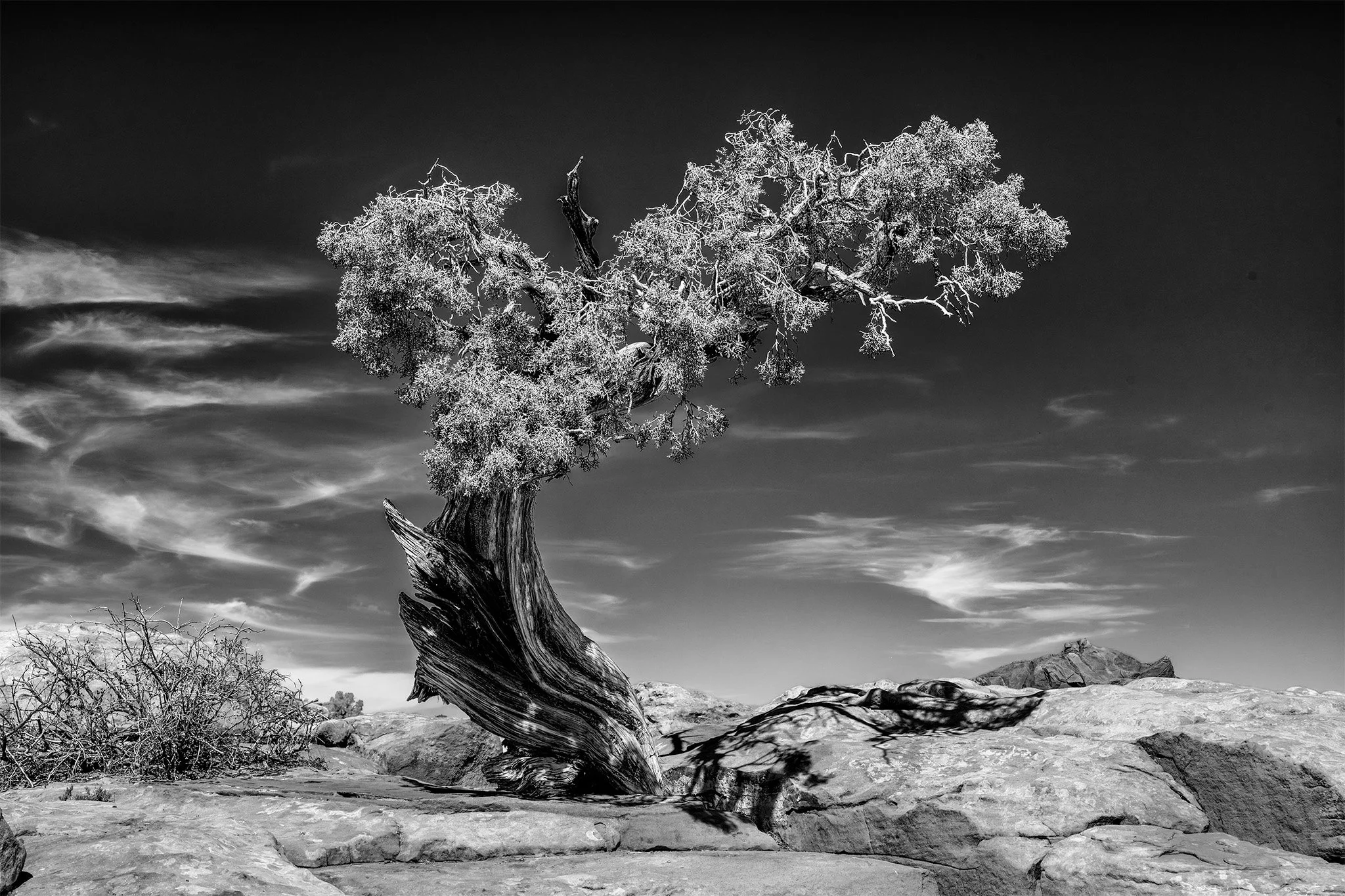 260321  Moab  073-1 bw.jpg