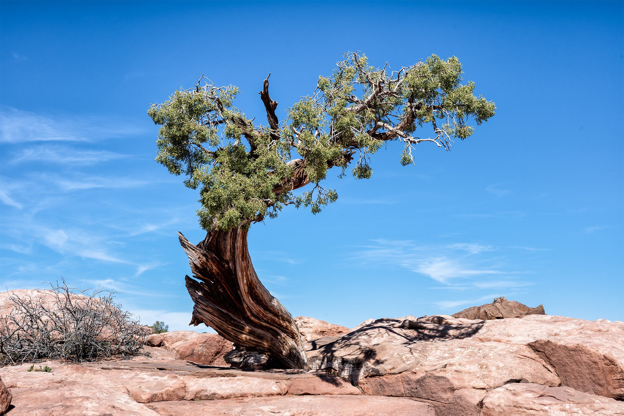 260321  Moab  073-1.jpg