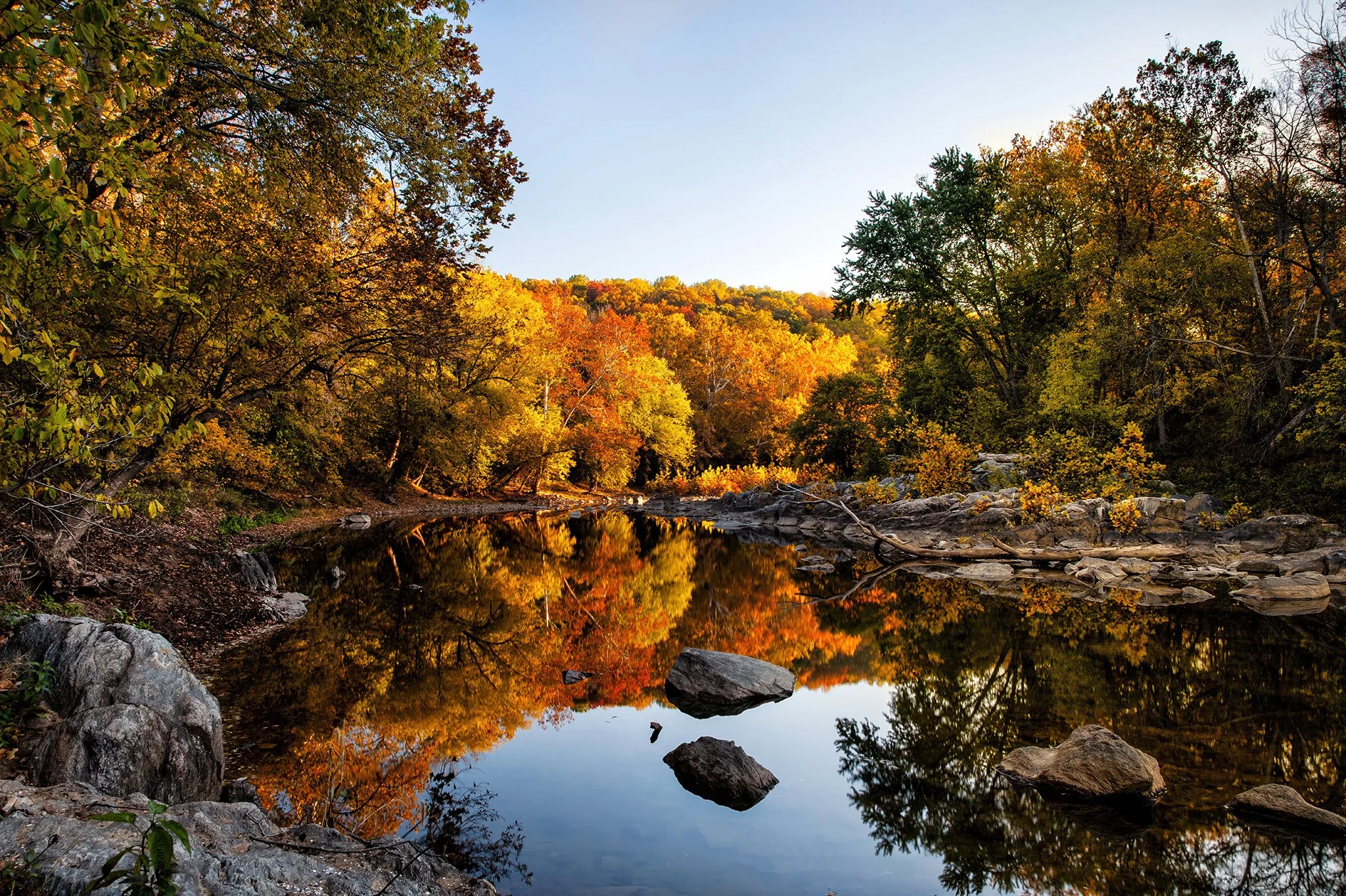 081031 Potomac River Foliage 021-1a-topaz-high fidelity v2-2x.jpg