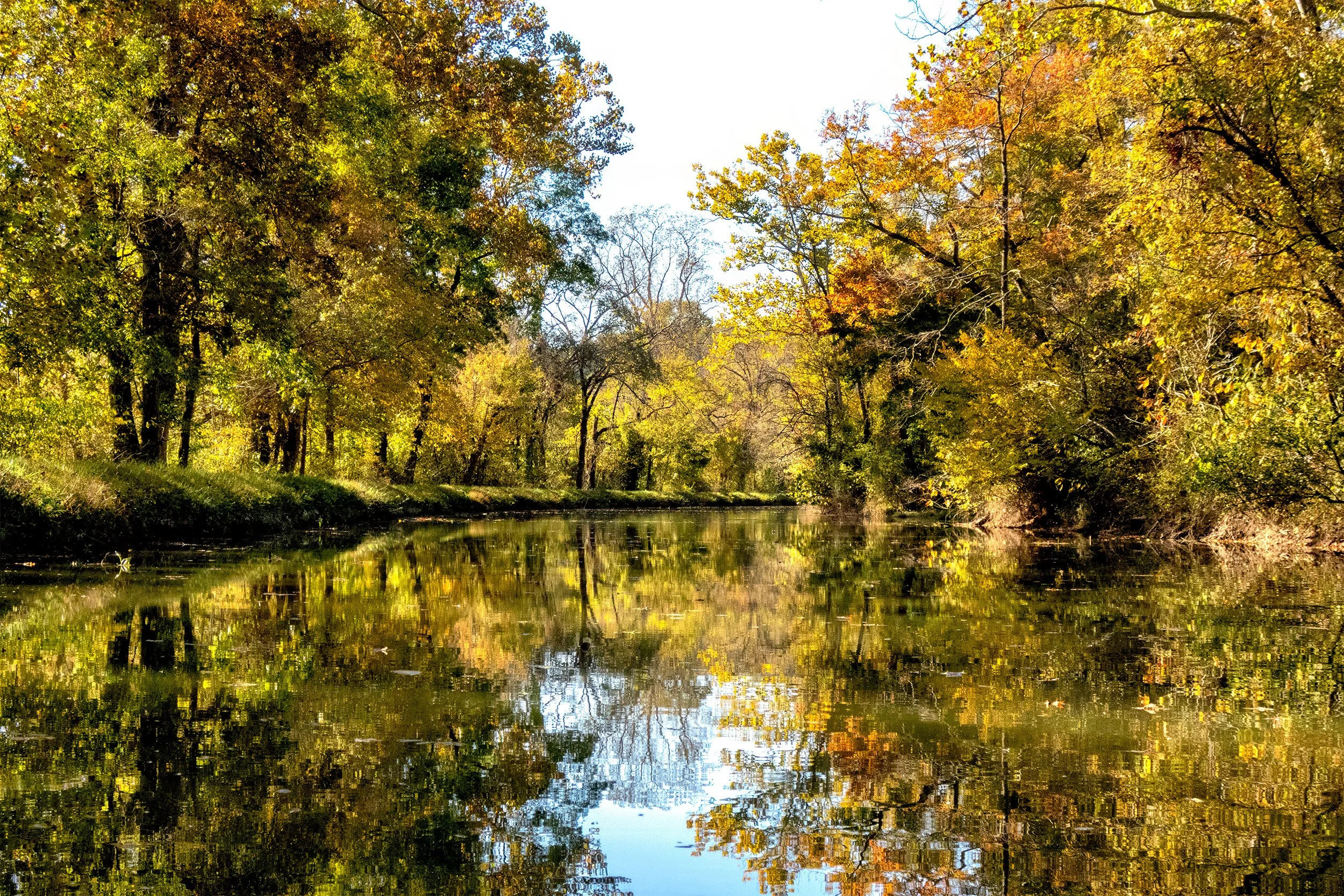 October Morning on the C&O Canal, MFA 2026 Spring Member Show