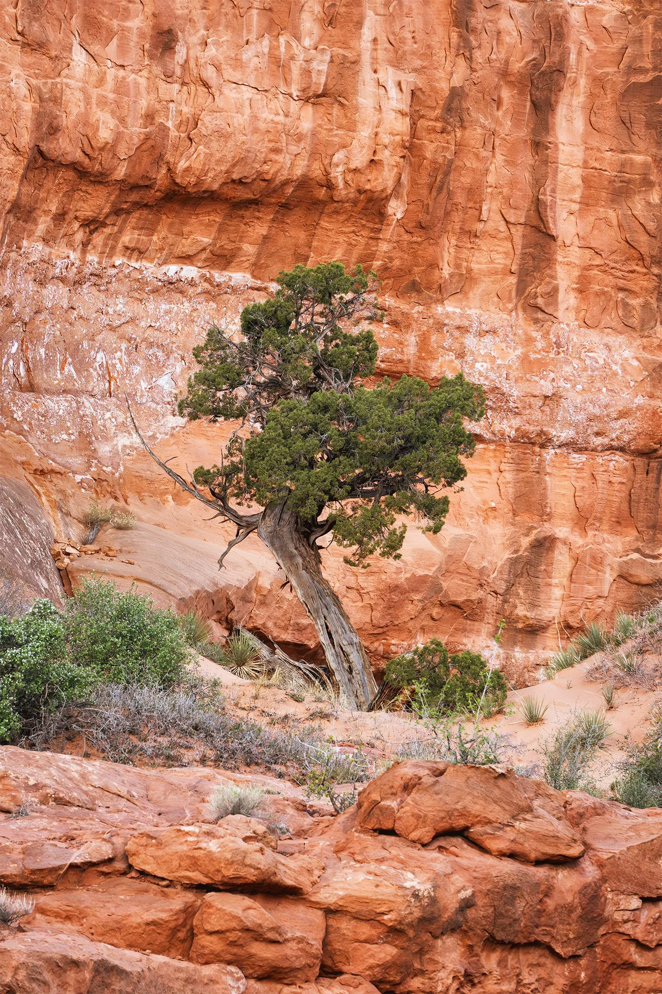 260322  Moab  100-1.jpg