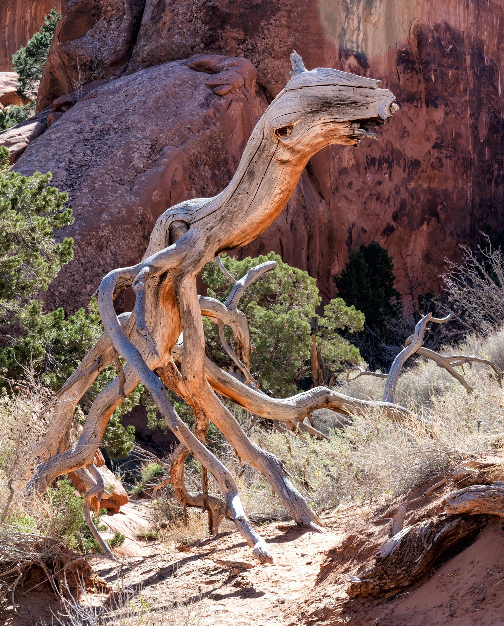 260319  Moab  022-1.jpg