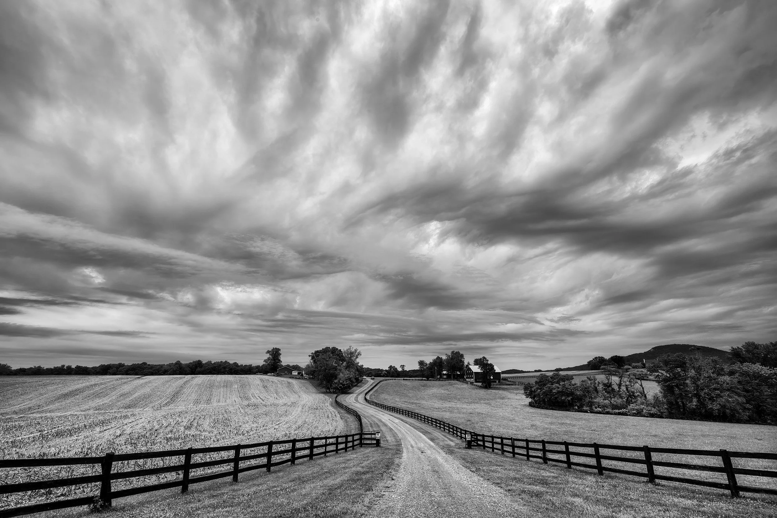 210528  MoCo  15-1 bw.jpg