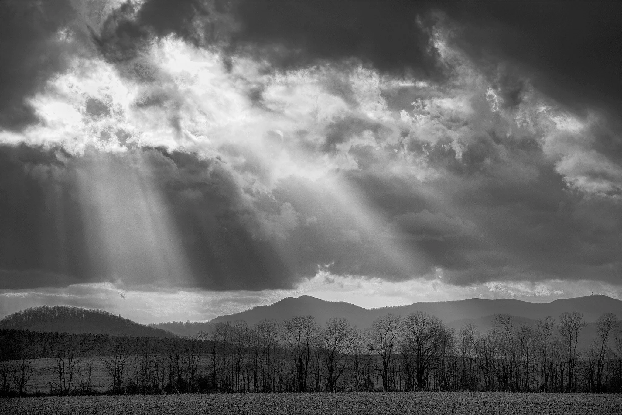 090119 Fort Valley 013 PS BW4.jpg