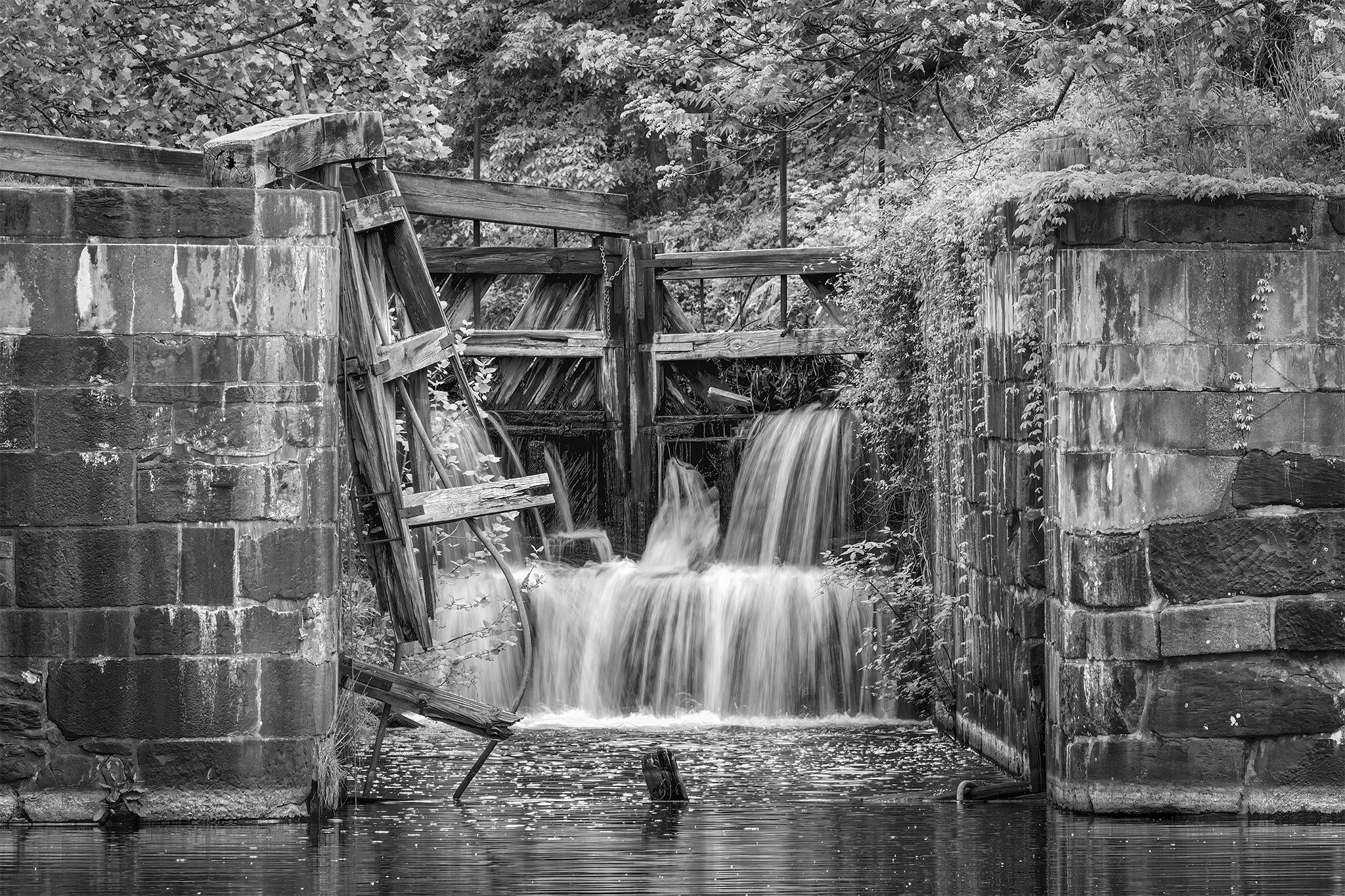 260424  Great Falls  19-1 cr bw.jpg
