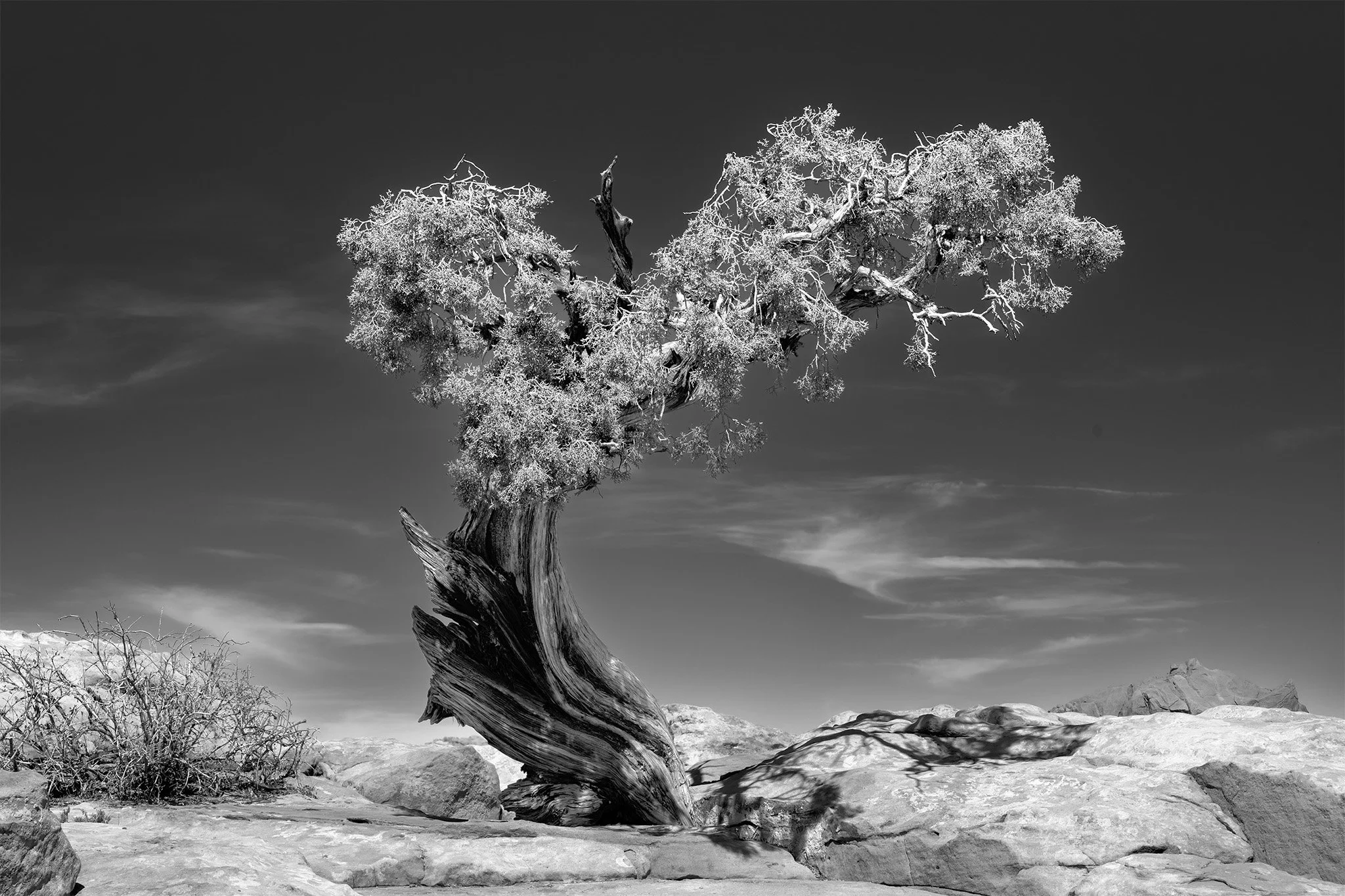 Maryland Photography Alliance 2026 B&W Photo Competition (Honorable Mention), Maryland Federation of Art 2026 Landscapes of the Americas