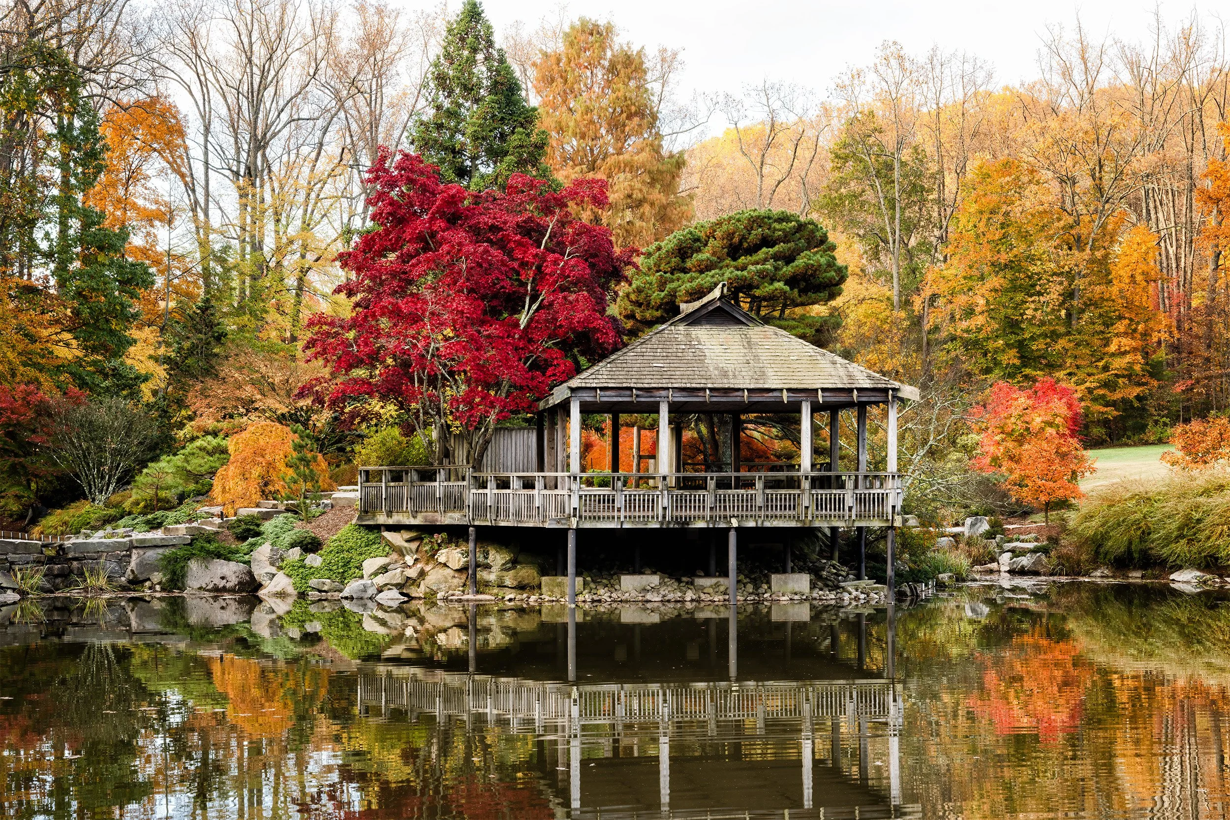 October Morning at the Japanese Tea House 