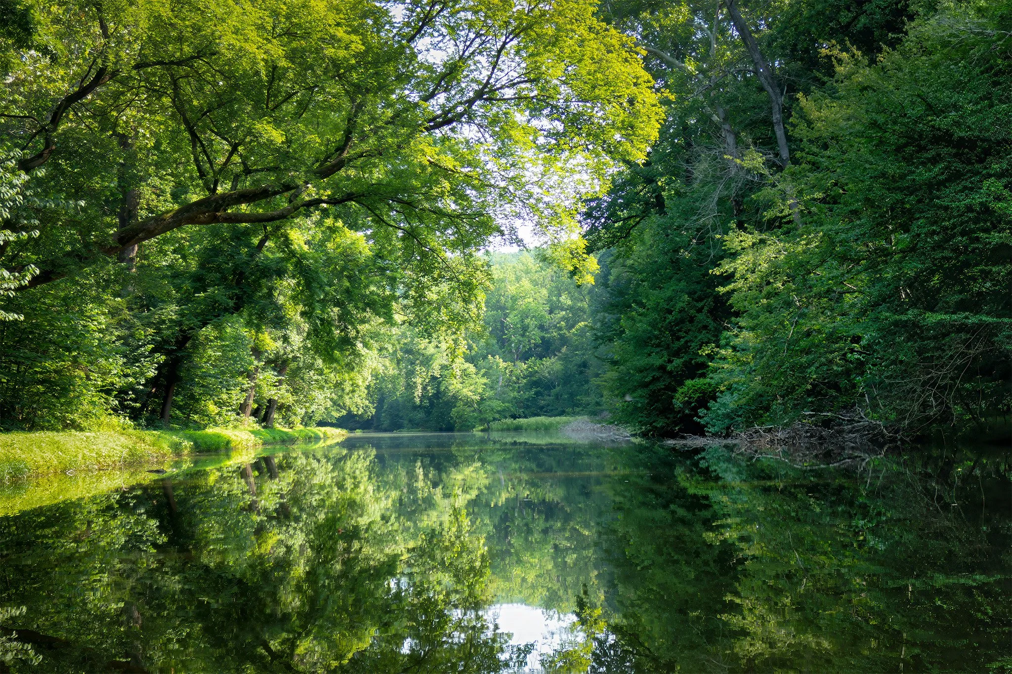 260715  GF Kayak  03-1.jpg