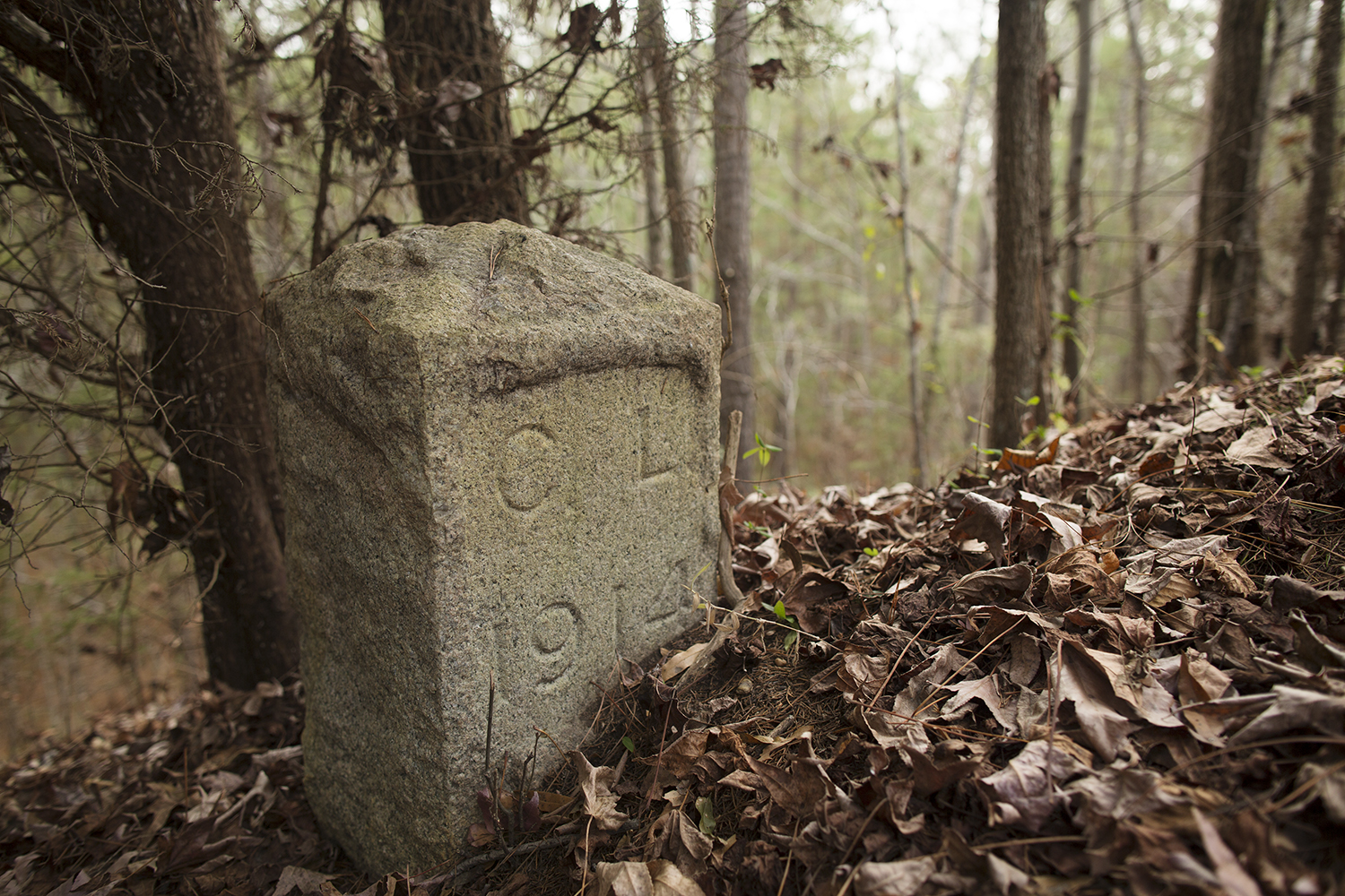 Web_20141220_East_End_Cemetery_Richmond_VA_5D_0004.jpg