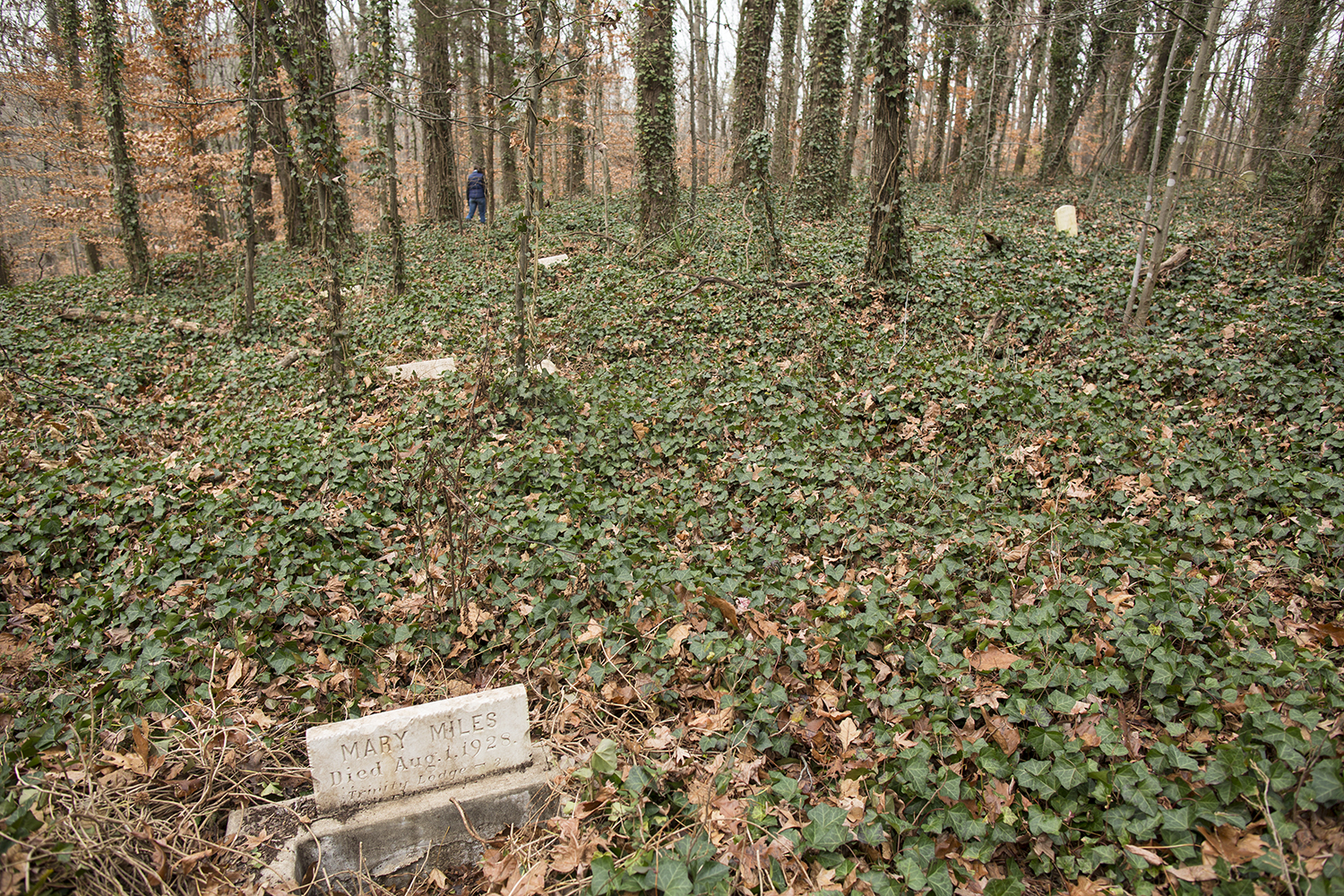 Web_20141220_East_End_Cemetery_Richmond_VA_5D_0078.jpg