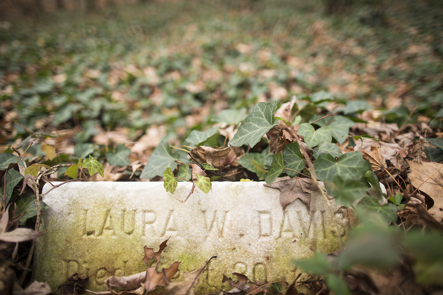 Web_20141220_East_End_Cemetery_Richmond_VA_5D_0079.jpg