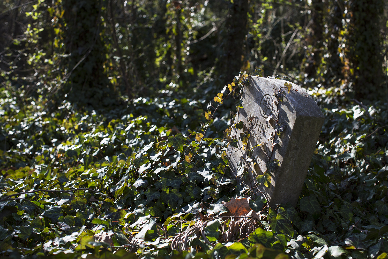 Web_20150119_East_End_Cemetery_work_day_Richmond_VA_5D_0254.jpg