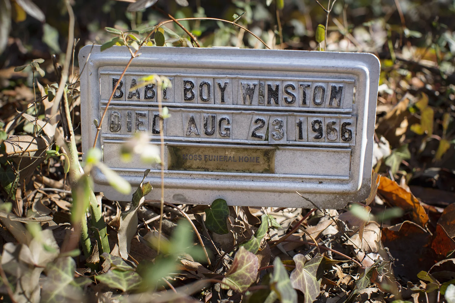 Web_20150119_East_End_Cemetery_work_day_Richmond_VA_5D_0240.jpg