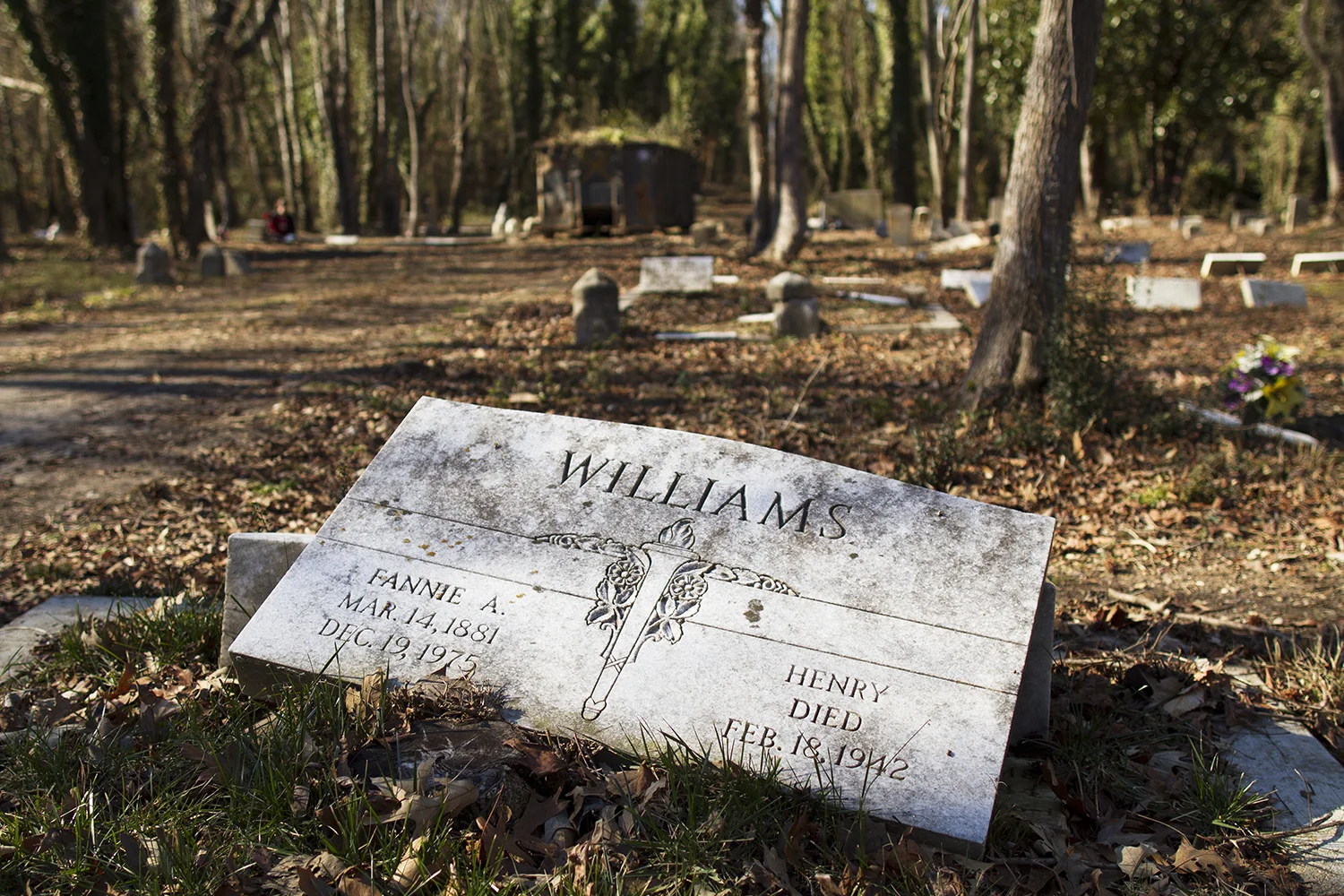 Web_20150119_East_End_Cemetery_work_day_Richmond_VA_7D_0023.jpg