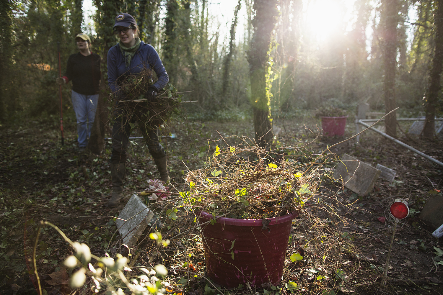 Tail end of East End Cemetery work day, January 2015. ©brianpalmer.photos 2015