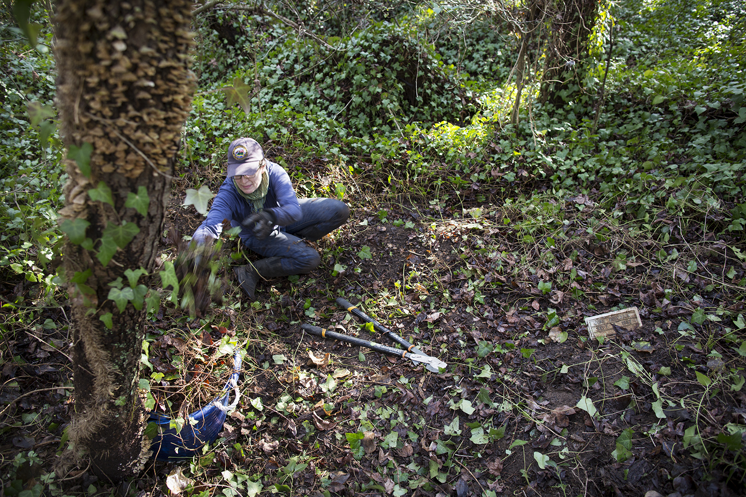 Erin clears invasive plants and vines from graves, East End Cemetery work day, January 2015. ©brianpalmer.photos 2015