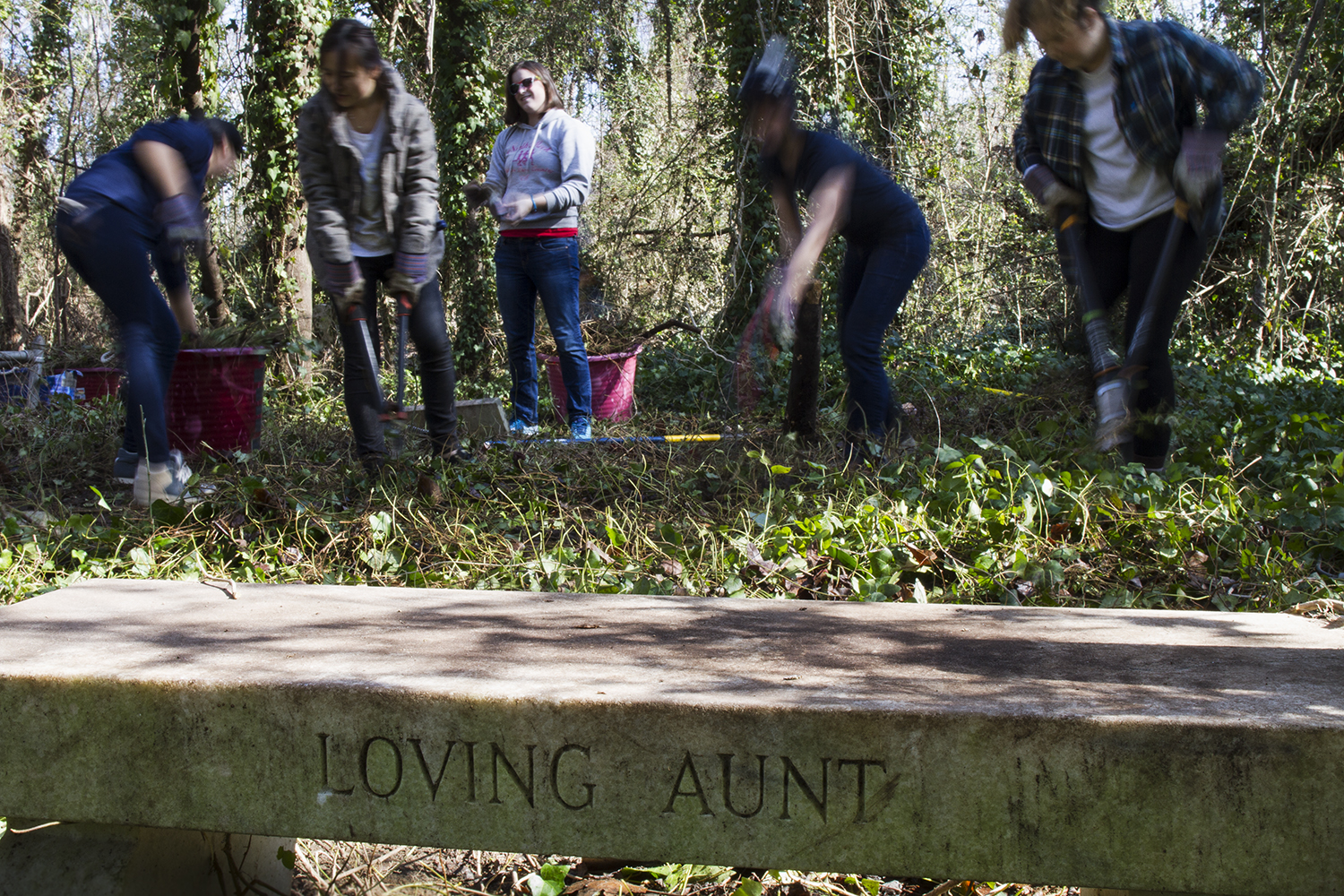  University of Richmond students, members of Alpha Phi Omega, clear undergrowth from graves during an East End Cemetery work day, January 2015.&nbsp;©brianpalmer.photos 2015       