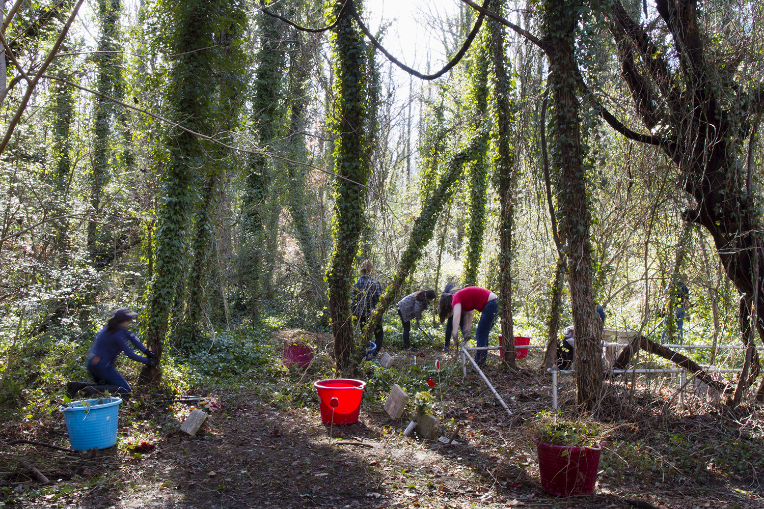 East End Cemetery work day, January 2015. ©brianpalmer.photos 2015