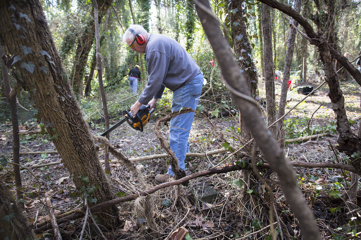 Volunteer coordinator John Shuck chainsaws vines into smaller, dragable pieces, East End Cemetery work day, January 2015. ©brianpalmer.photos 2015