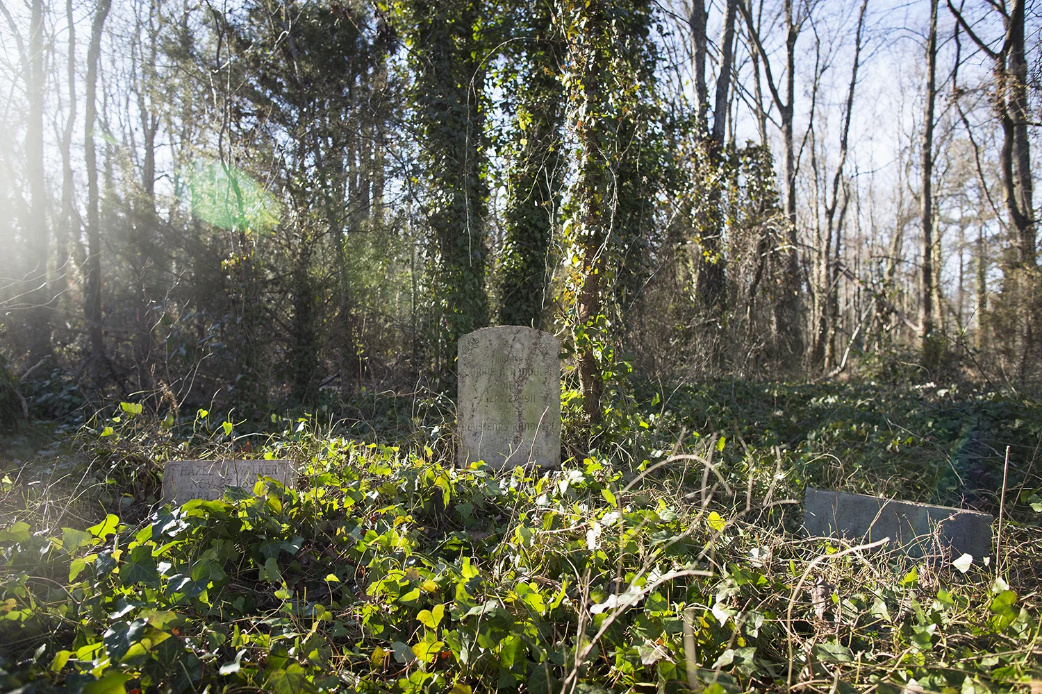 Graves of Hazel M. Walker (left), Carrie A, Randolph (center), and Rev, Henry Randolph (right), revealed by VCU students during East End Cemetery work day, Henrico County/Richmond, Virginia, January 31, 2015. ©brianpalmer.photos 2015