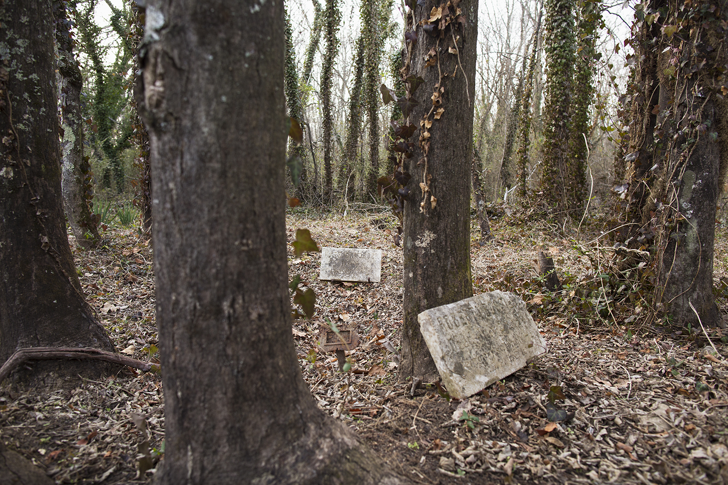  East End Cemetery, Henrico County and Richmond, Virginia, February 2015. ©brianpalmer.photos 2015 