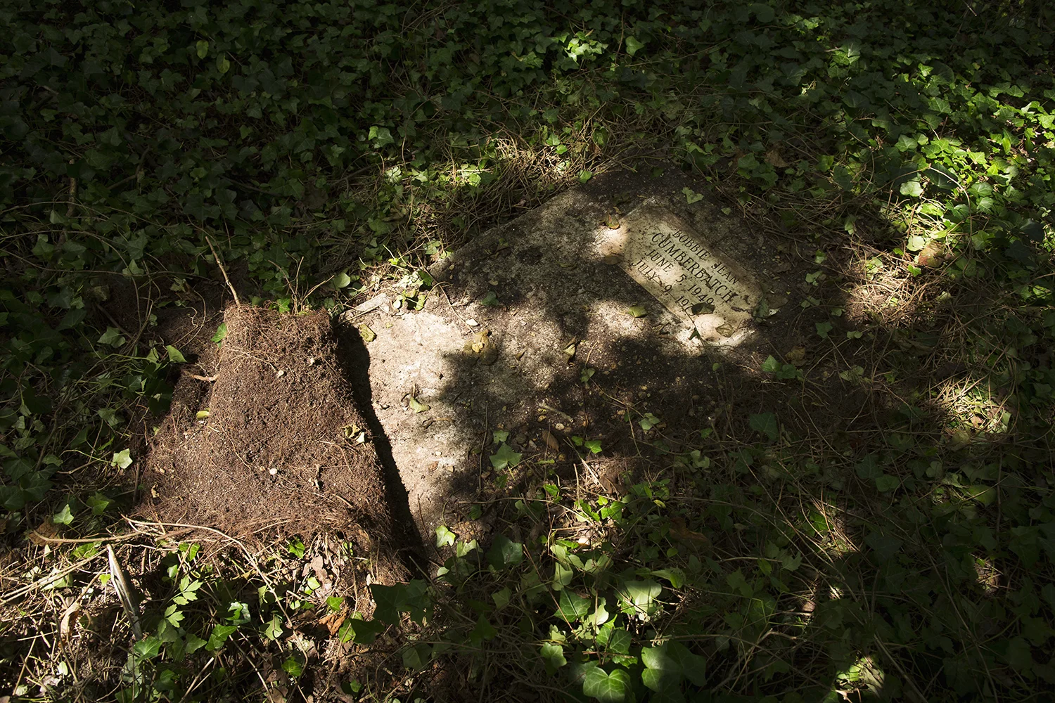 East End Cemetery, Henrico County, Virginia, August 2015. Photo: BP