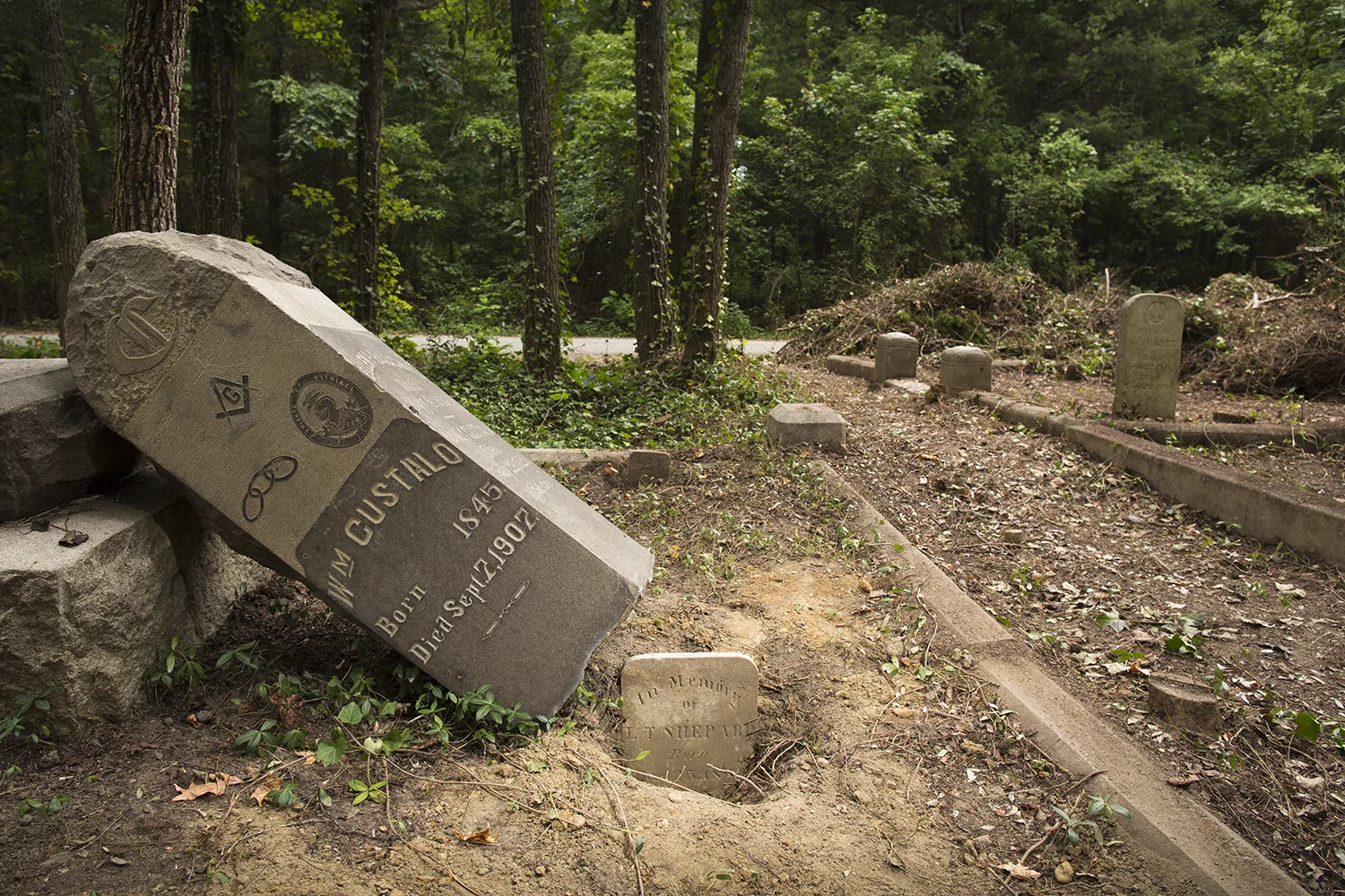 The imposing gravestone of restaurant and bar proprietor William Custalo—reportedly the wealthiest person of color in Richmond at the time of his death in September 1907—was too heavy even for strapping soldiers to right back in March, when its veil of ivy was removed by volunteers. Mr. Custalo, b. ca. 1840, was the son of free blacks in Richmond. He enlisted in the U.S. Navy toward the tail end of the Civil War and later married Nancy Bacchus, who is also buried at East End; the two had no children. His establishment, Custalo House, stood at the corner of E. Broad and Seventh Streets for many years. The small, toothlike gravestone poking up next to Mr. Custalo's monument was uncovered only in the past few weeks. It belongs to one L. T. Shepard; more digging is needed to reveal the dates. East End Cemetery, Henrico County, Virginia, August 2015. Photo: BP
