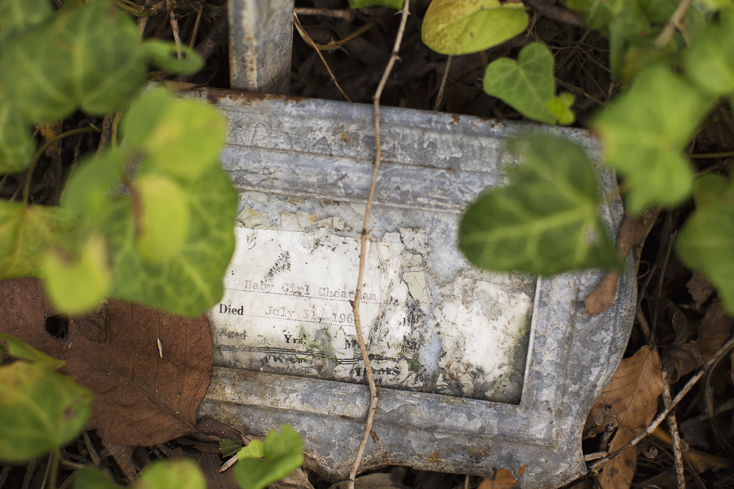  Temporary marker for "Baby Girl Cheatham." East End Cemetery, Henrico County, Virginia, October 2015. Photo: ©BP 