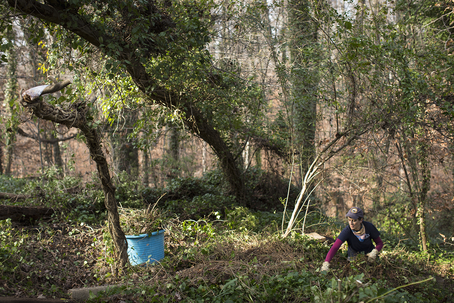 East End Cemetery, Henrico County, Virginia, December 2015. Photo: BP