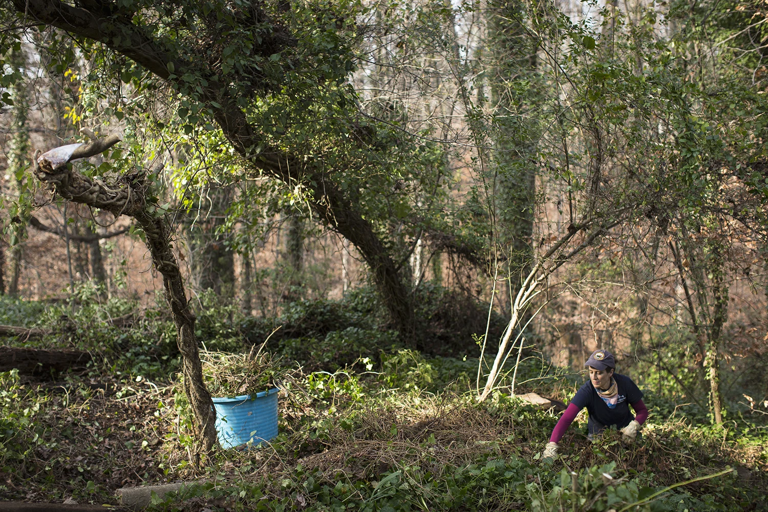 East End Cemetery, Henrico County, Virginia, December 2015. Photo: BP