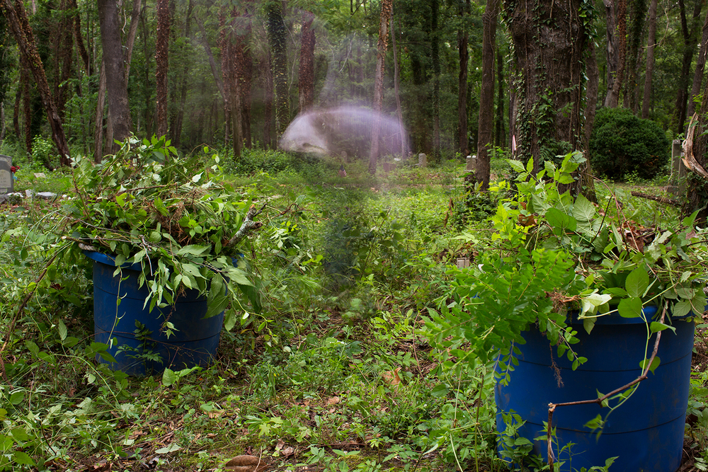 Web_export_20160701_East_End_Cemetery_Henrico_Richmond_VA_5D1_0522.jpg