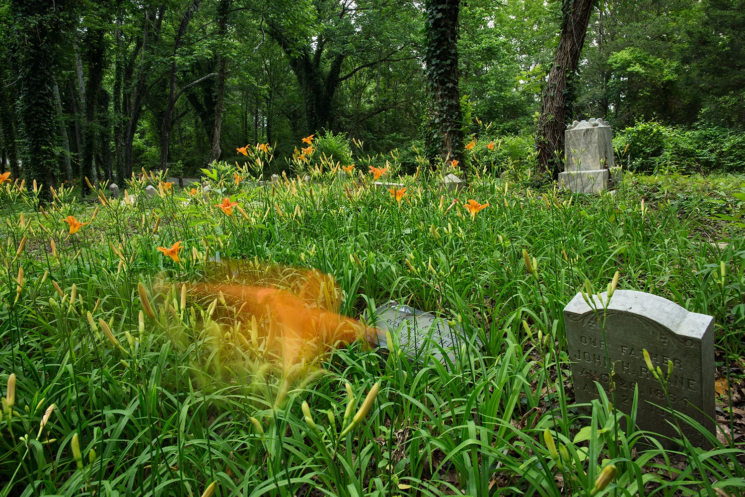 East End Cemetery, Henrico County, Virginia, June 2016. Photo: BP