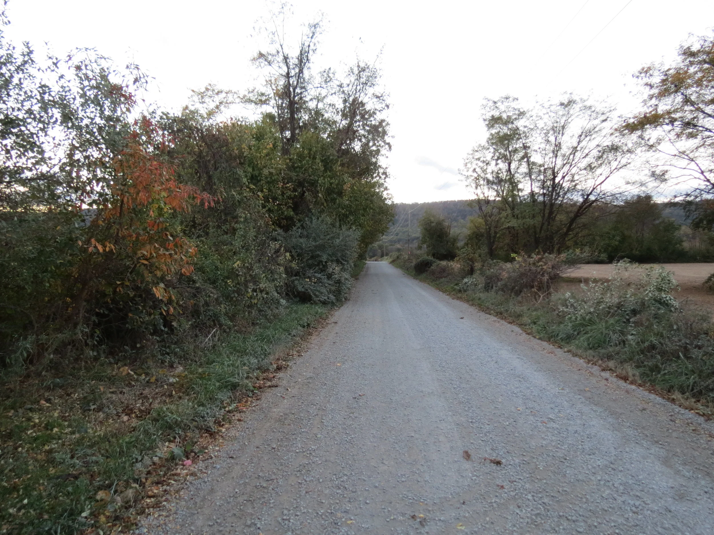 IMG_7171.JPG