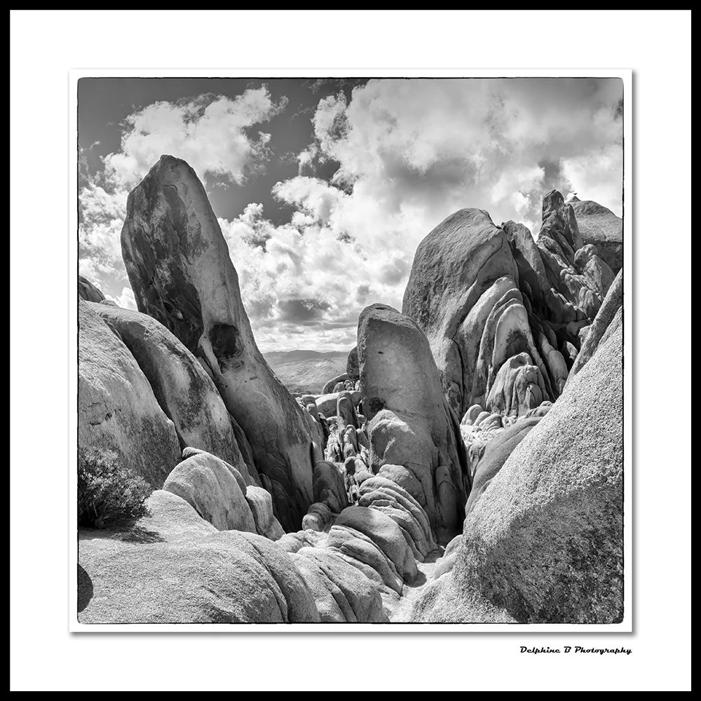 Bouldering Day 20x20 FINAL CANVAS SMALL.jpg