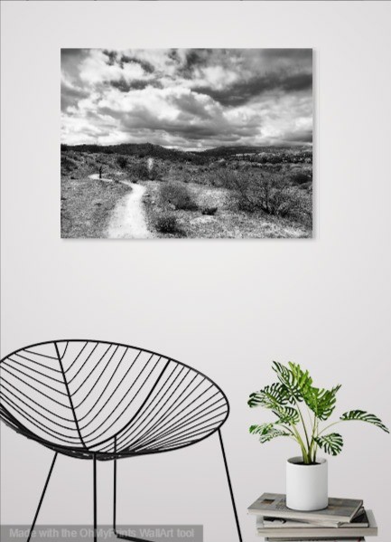 Stormy Day on Morongo Valley SMALL.jpg