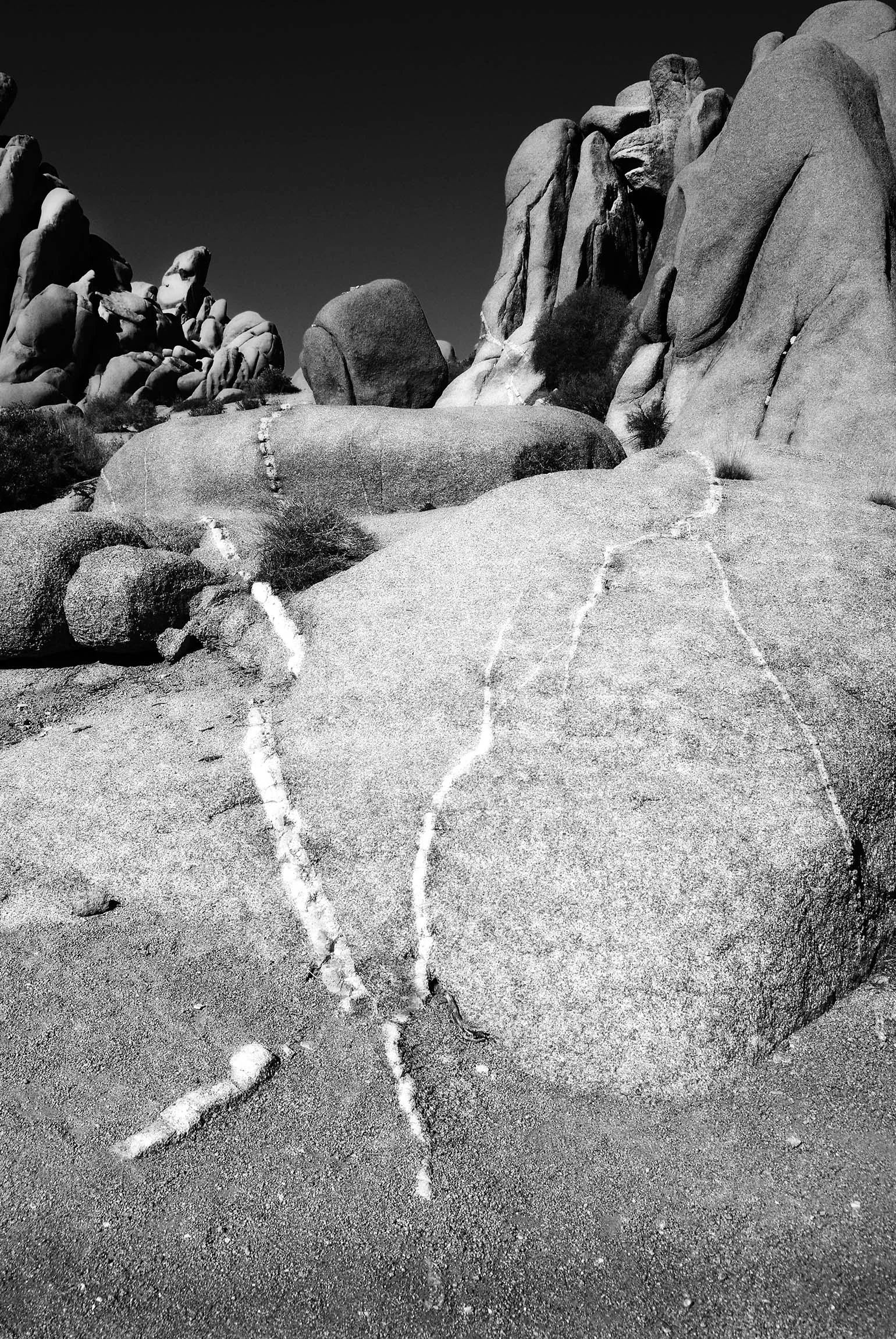 WHiTE LINES 16x24 FINAL WEBSITE.jpg